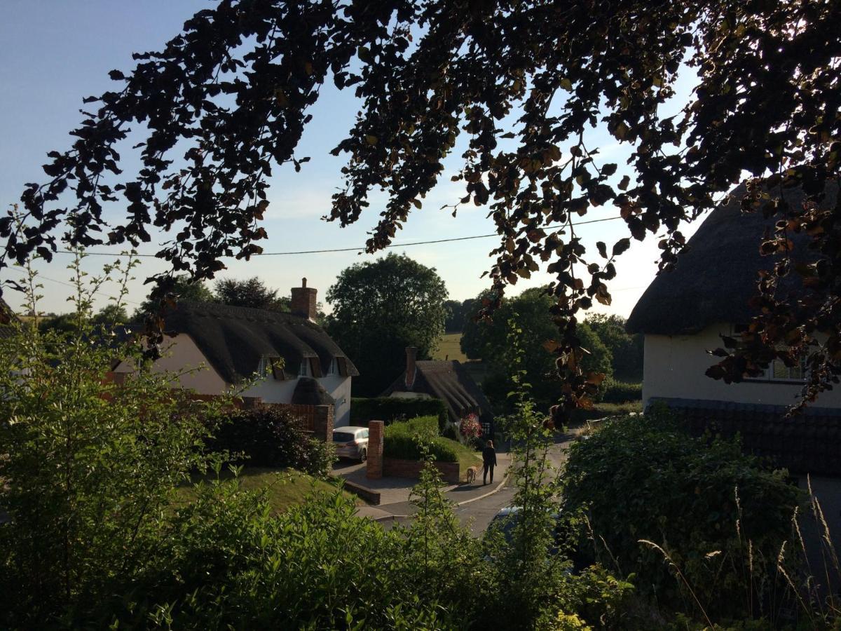 Guest Suite At 31 Little England Milborne Saint Andrew Exterior foto